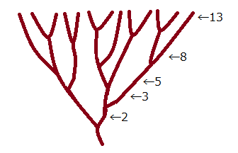 枝分かれの数がフィボナッチ数列になっている例